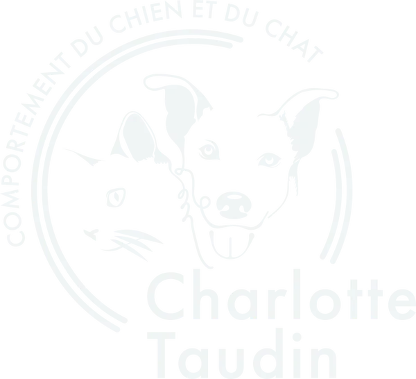 logo Charlotte Taudin en bleu clair illustrant un chat et un chien