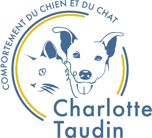 logo Charlotte Taudin en bleu et jaune