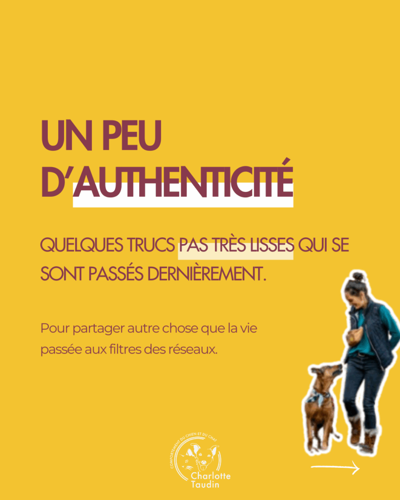 Infographie réalité comportementaliste canin authenticité professionnelle - Charlotte Taudin éducatrice canin - Vaison la romaine