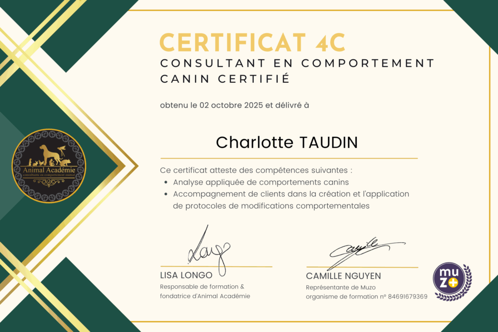 Certificat 4C de Consultant en Comportement Canin Certifié délivré à Charlotte TAUDIN par Animal Académie le 02 octobre 2025
