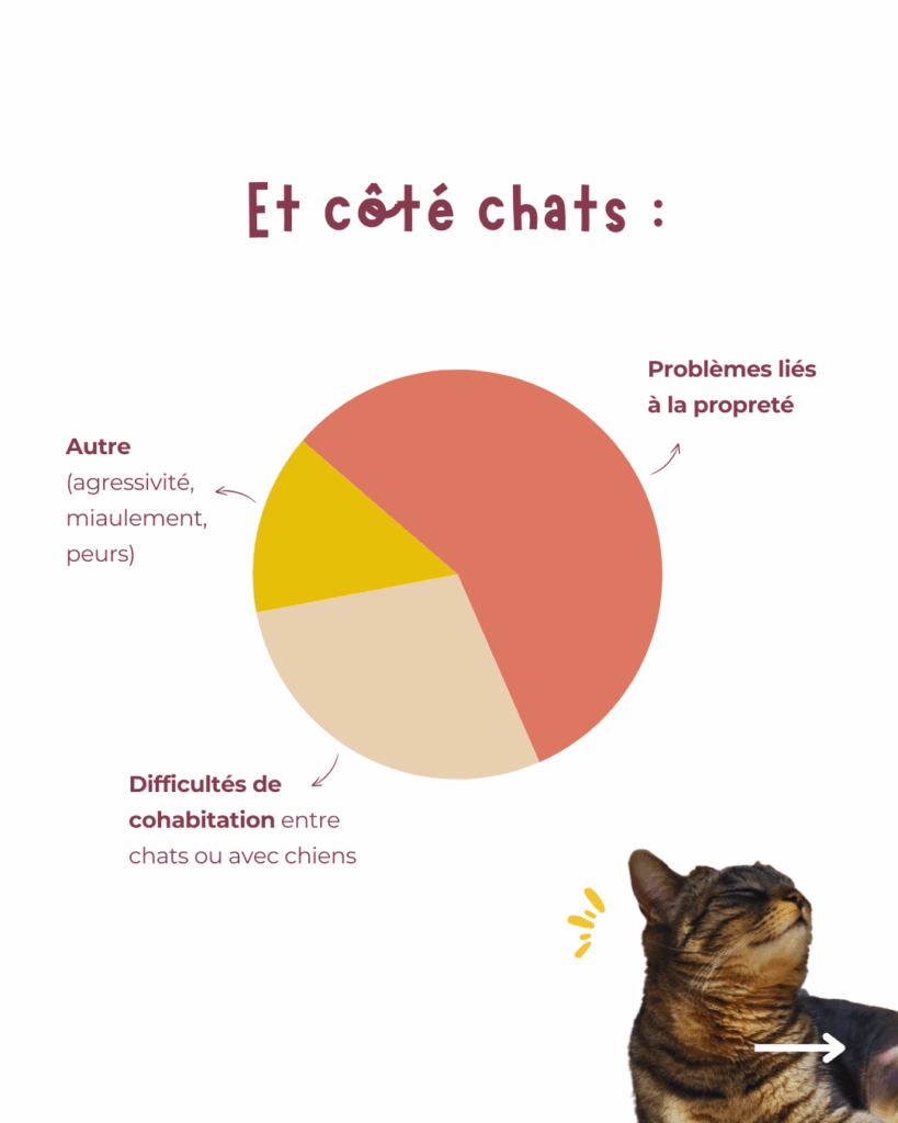 Répartition des motifs de consultation comportementale pour chats : problèmes de propreté (éliminations hors litière), difficultés de cohabitation entre chats ou avec chiens, et autres problématiques (agressivité, miaulements, peurs)