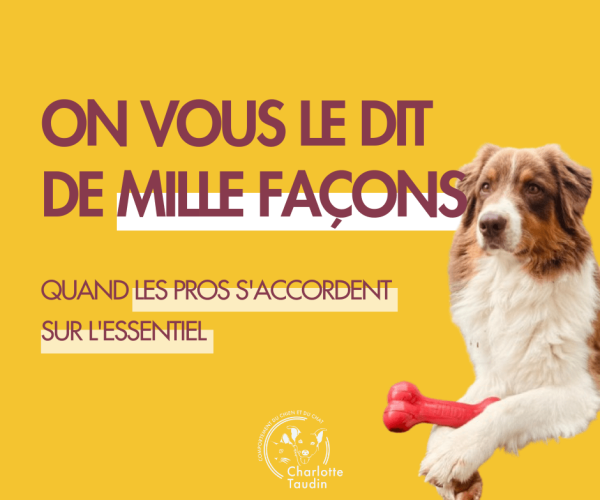 Citation « On vous le dit de mille façons » avec un chien tenant un jouet rouge, illustrant un message commun des professionnels du comportement animal : l'importance du travail de fond en éducation canine