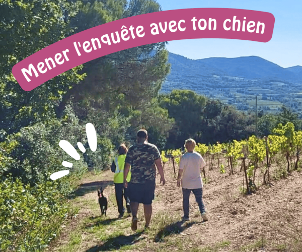 Groupe mantrailing colline Vaison-la-Romaine séance pistage olfactif chien Vaucluse