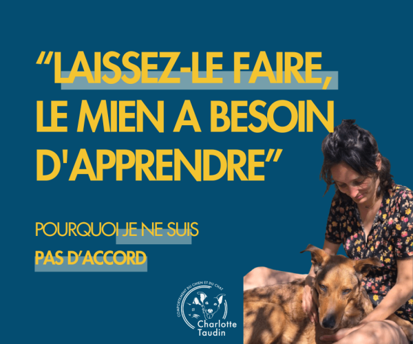 Citation « Laissez-le faire, le mien a besoin d'apprendre » accompagnée d'une éducatrice canine assise avec un chien allongé sur ses genoux, illustrant une réflexion sur l'éducation canine.