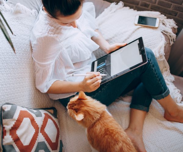 éducatrice comportementaliste canin et félin, relation humain-animal