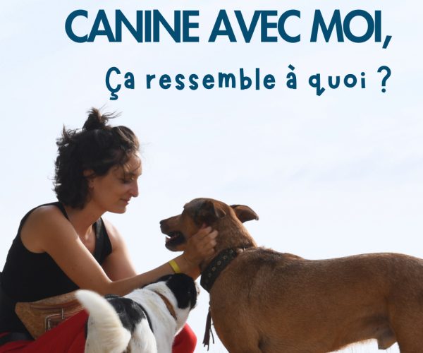 Éducatrice comportementaliste canin accroupie en extérieur, en interaction calme avec deux chiens, illustrant une approche d’éducation canine basée sur la relation et l’observation.