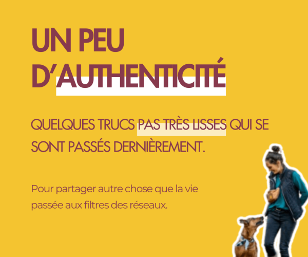 Infographie réalité comportementaliste canin authenticité professionnelle - Charlotte Taudin éducatrice canin - Vaison la romaine